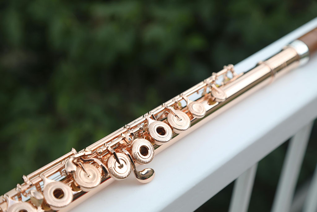 Online flute lessons in Wakefield about to be started outside